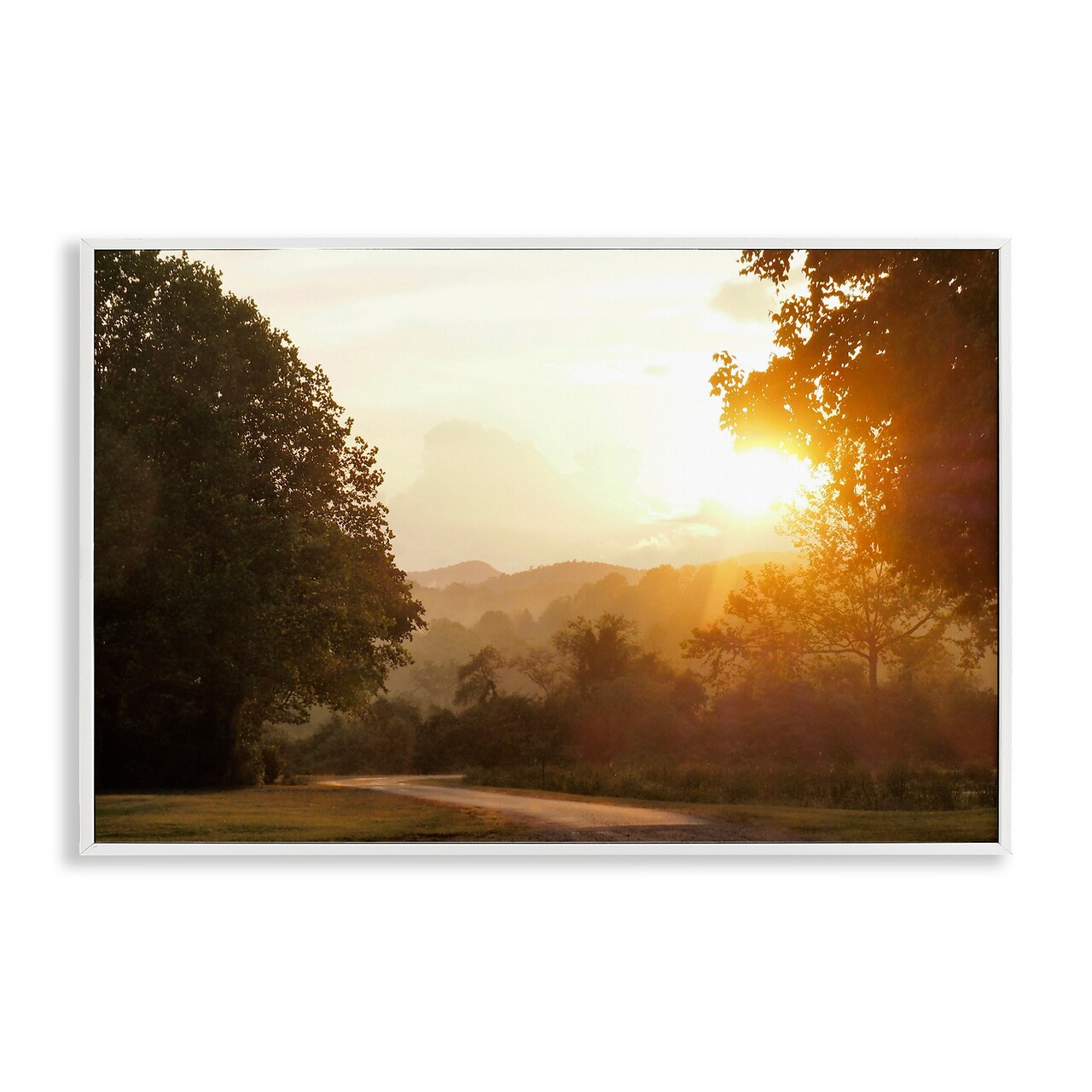 Stupell Industries Golden Morning Between Trees Framed Giclee, design by Gail Peck